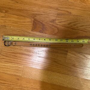 Stylish Studded Leather Dog Collar in Tan